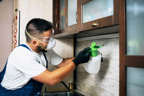 Best Wildlife Control Services  in Denison, IA