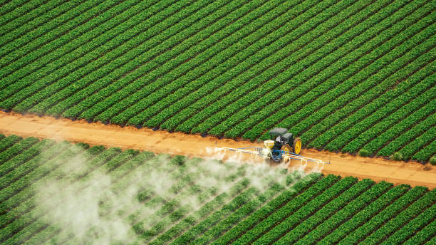 Best Pest Inspection Near Me  in Denison, IA