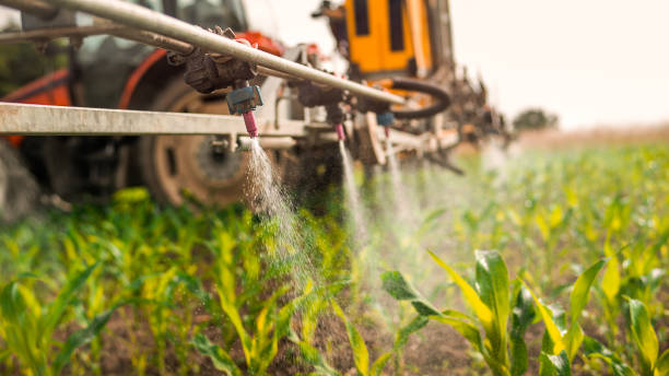 Best Pest Control for Homes  in Denison, IA