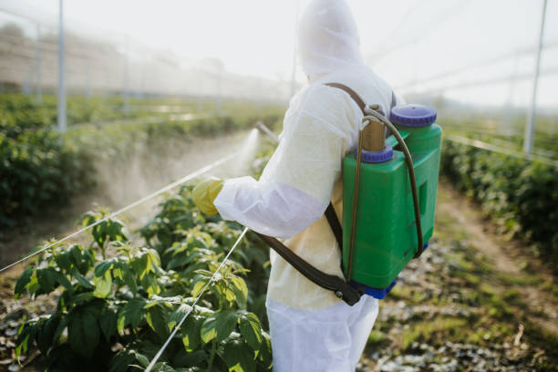 Best Wasp Removal Services  in Denison, IA
